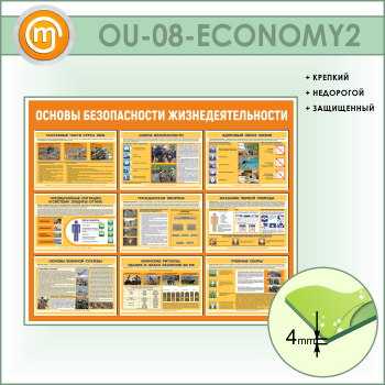 Стенд «Основы безопасности жизнедеятельности» (OU-08-ECONOMY2)